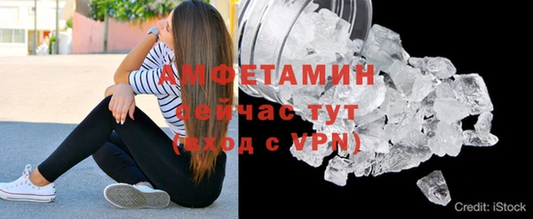 PSILOCYBIN Михайлов