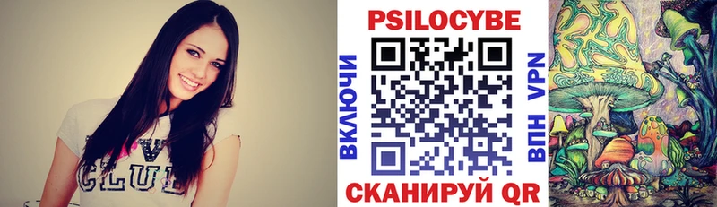 Псилоцибиновые грибы Psilocybe Дятьково