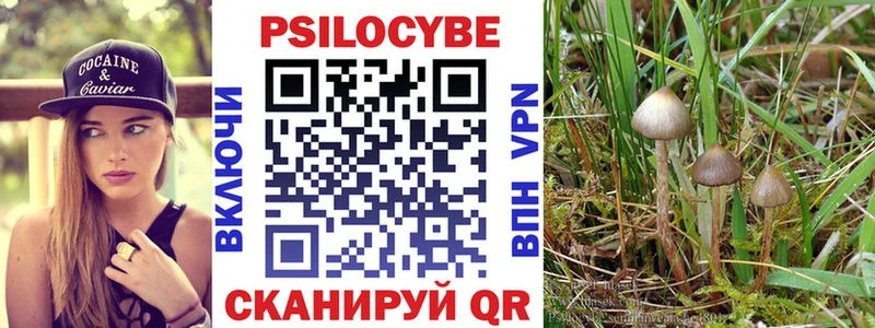 Галлюциногенные грибы MAGIC MUSHROOMS  ОМГ ОМГ ссылка  Дятьково 