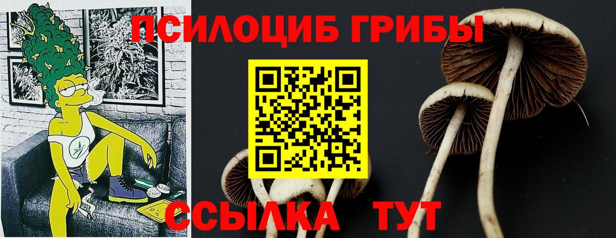 Галлюциногенные грибы мицелий Дятьково