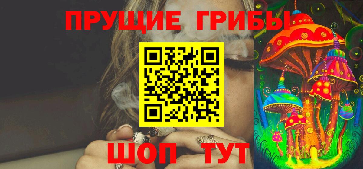 закладка  Дятьково  Галлюциногенные грибы Magic Shrooms 